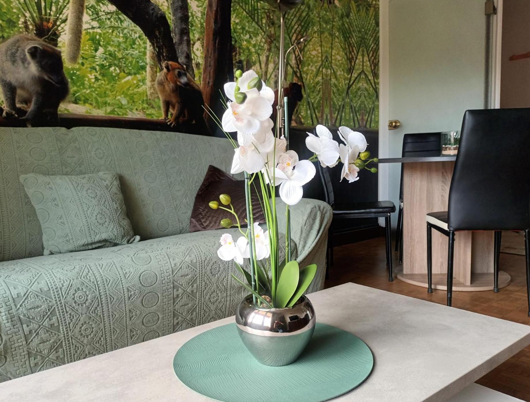 Appartement Escapade Nature Annecy Dış mekan fotoğraf