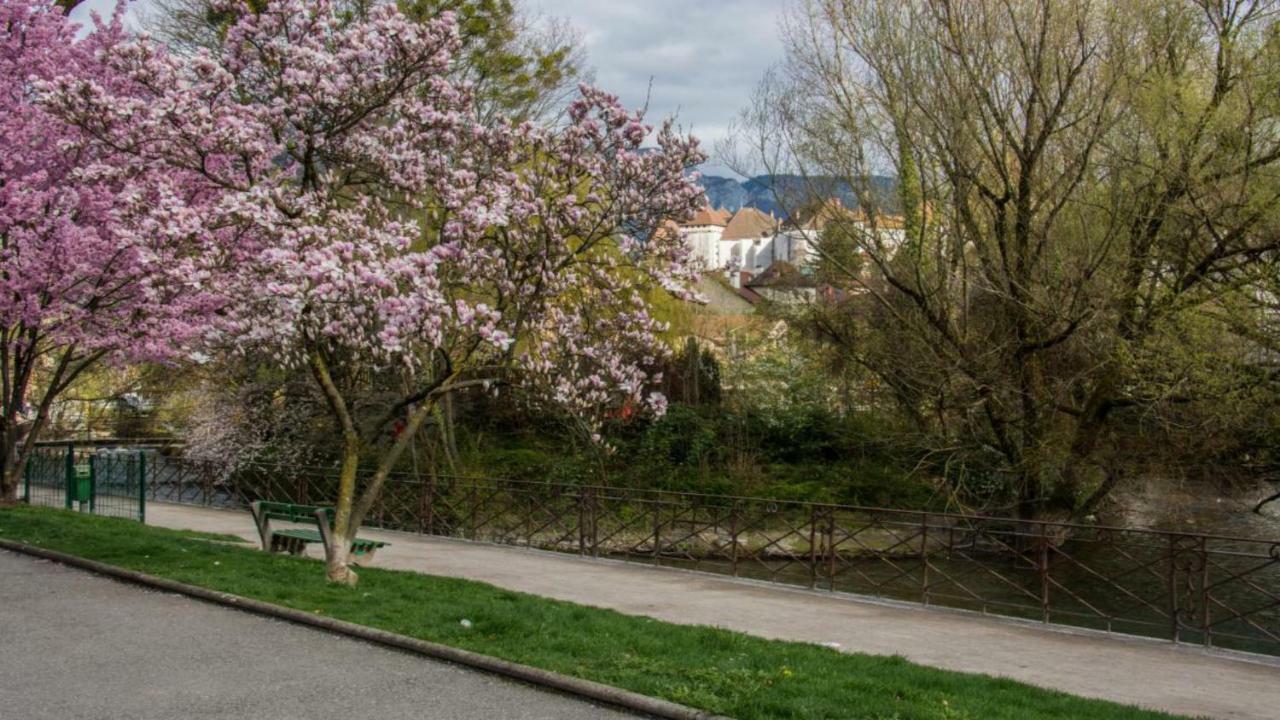 Appartement Escapade Nature Annecy Dış mekan fotoğraf